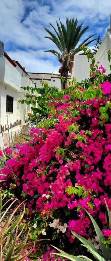 Casa Bonita Leilighet Costa Del Silencio Eksteriør bilde
